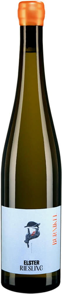 2021 Riesling Forster Elster