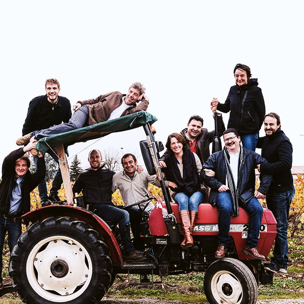 Bordeaux Vignerons
