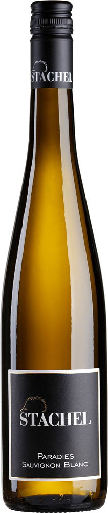2023 Diedesfelder Paradies Sauvignon Blanc