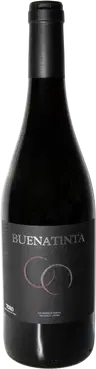 2023 Buenatinta Toro DO