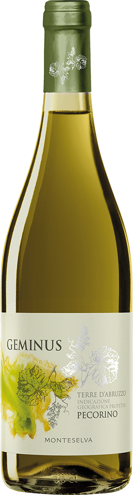 2025 Geminus Pecorino Terre d'Abruzzo IGP