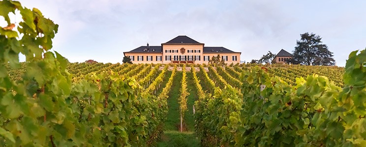 Schloss Johannisberg