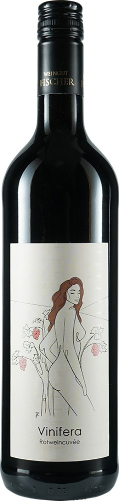 2020 Heilbronner Stiftsberg Vinifera Rotwein Cuvée