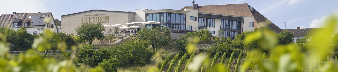 Herxheim am Berg