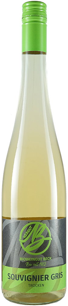 2023 Souvignier gris