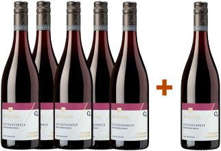 5+1 Achkarrer Winzer Spätburgunder QbA trocken