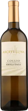 2024 Ribolla Gialla Collio Goriziano DOC