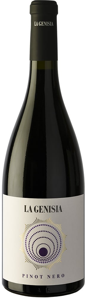 2023 Pinot Nero Pavese DOC