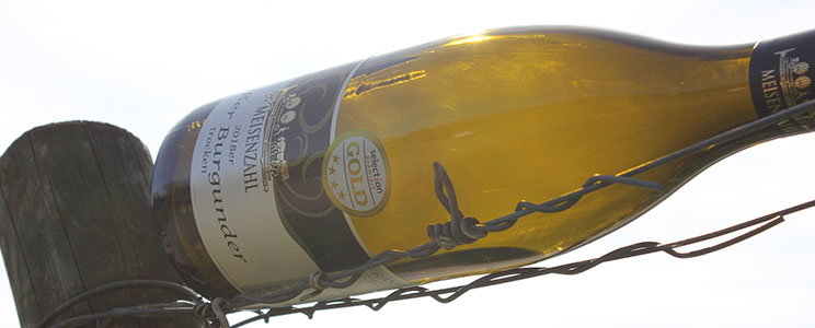 Meisenzahl