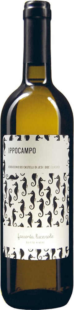 2023 IPPOCAMPO Verdicchio dei castelli di Jesi Classico DOC