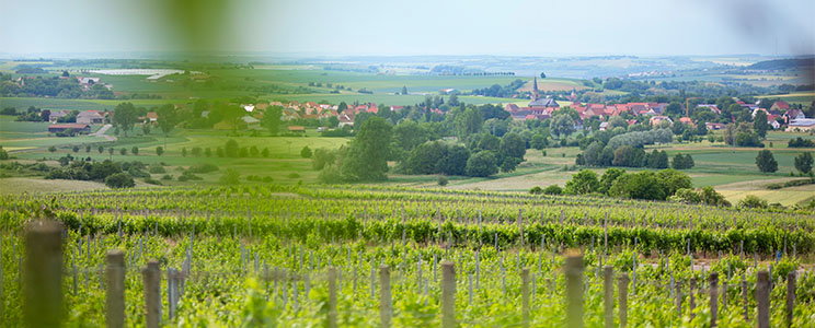 Schilling