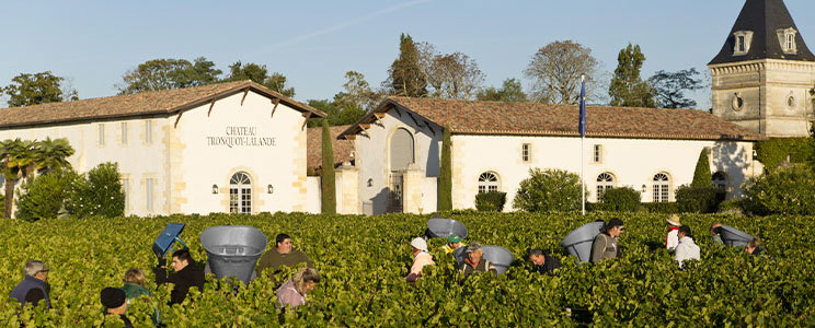 Château Tronquoy Lalande