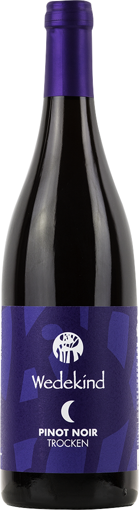 2022 Niersteiner Pinot Noir BIO