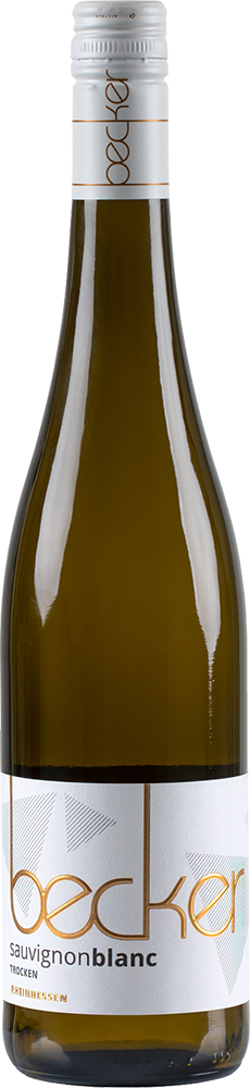 2025 SAUVIGNON BLANC