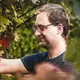 Weingut Taufratzhofer