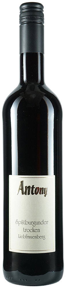 2024 Spätburgunder Rotwein