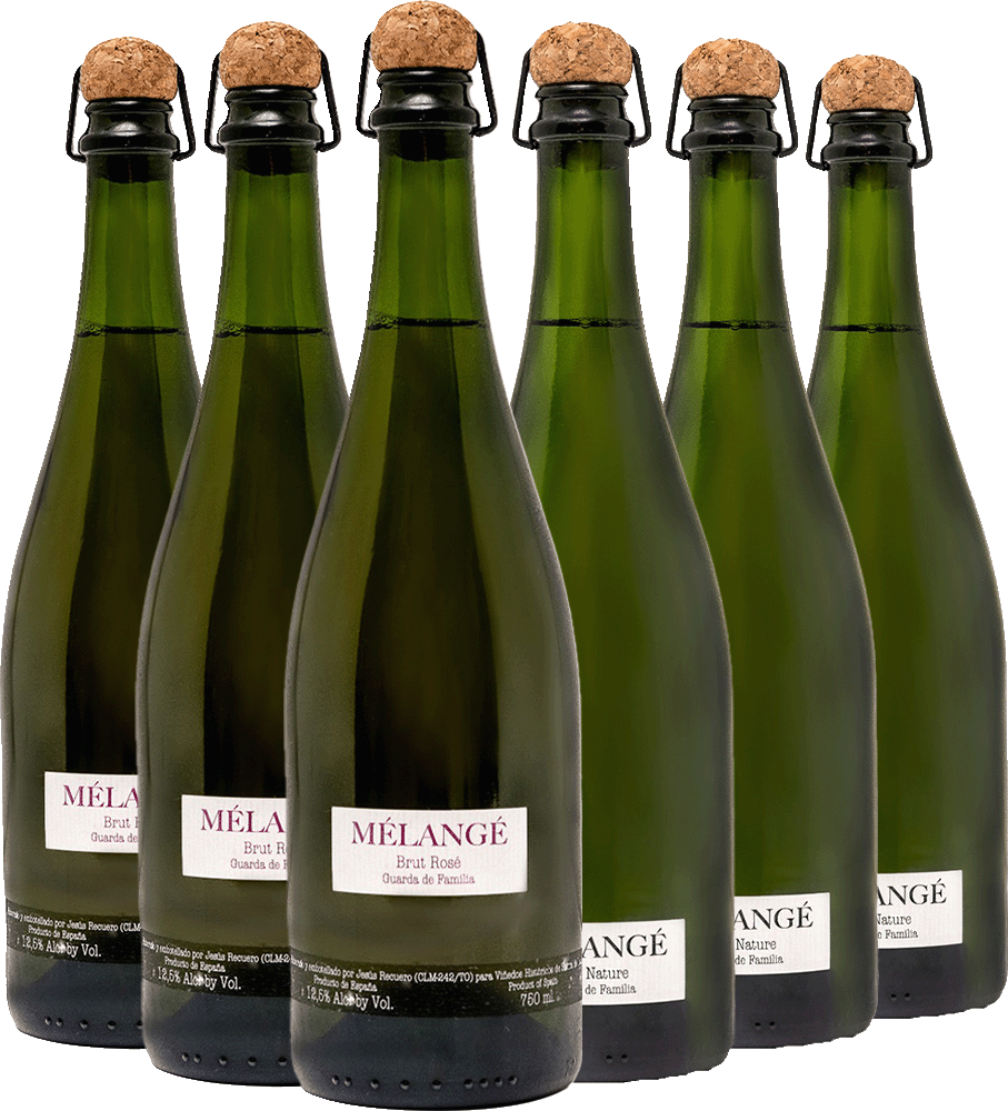 Kennenlernpaket Melangé Recuero & Co