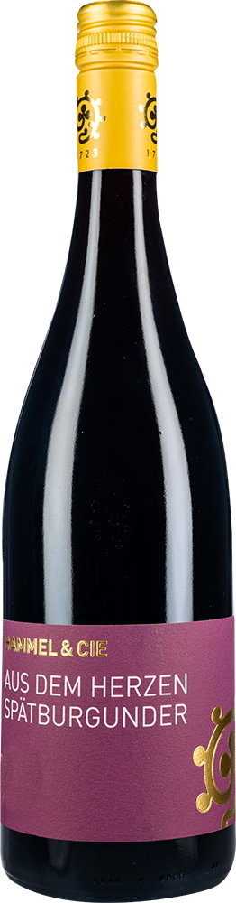 2024 Spätburgunder Rotwein Aus dem Herzen