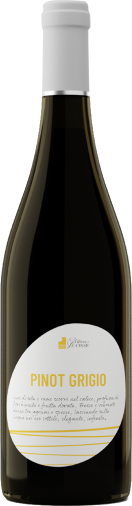 2025 Pinot Grigio Friuli DOC