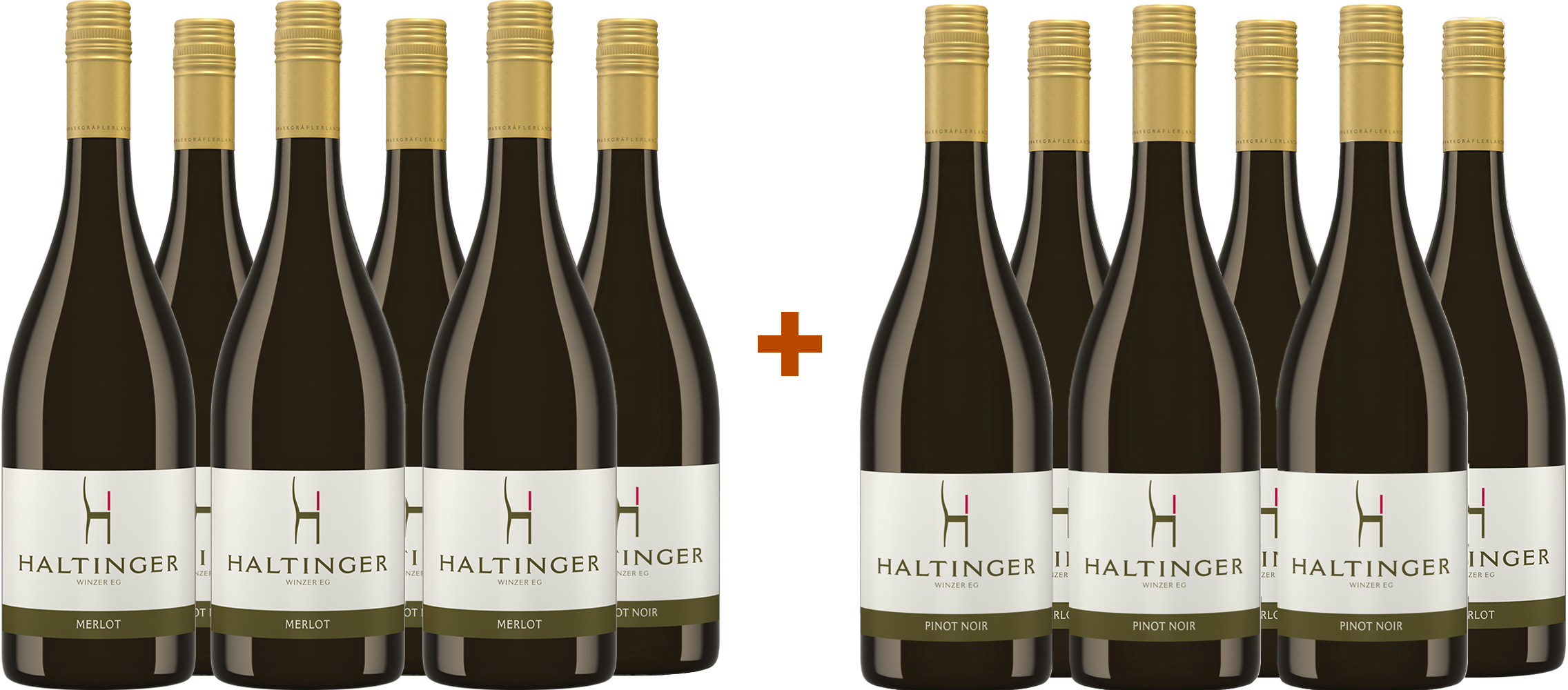 6+6 Paket Pinot Noir und Merlot trocken