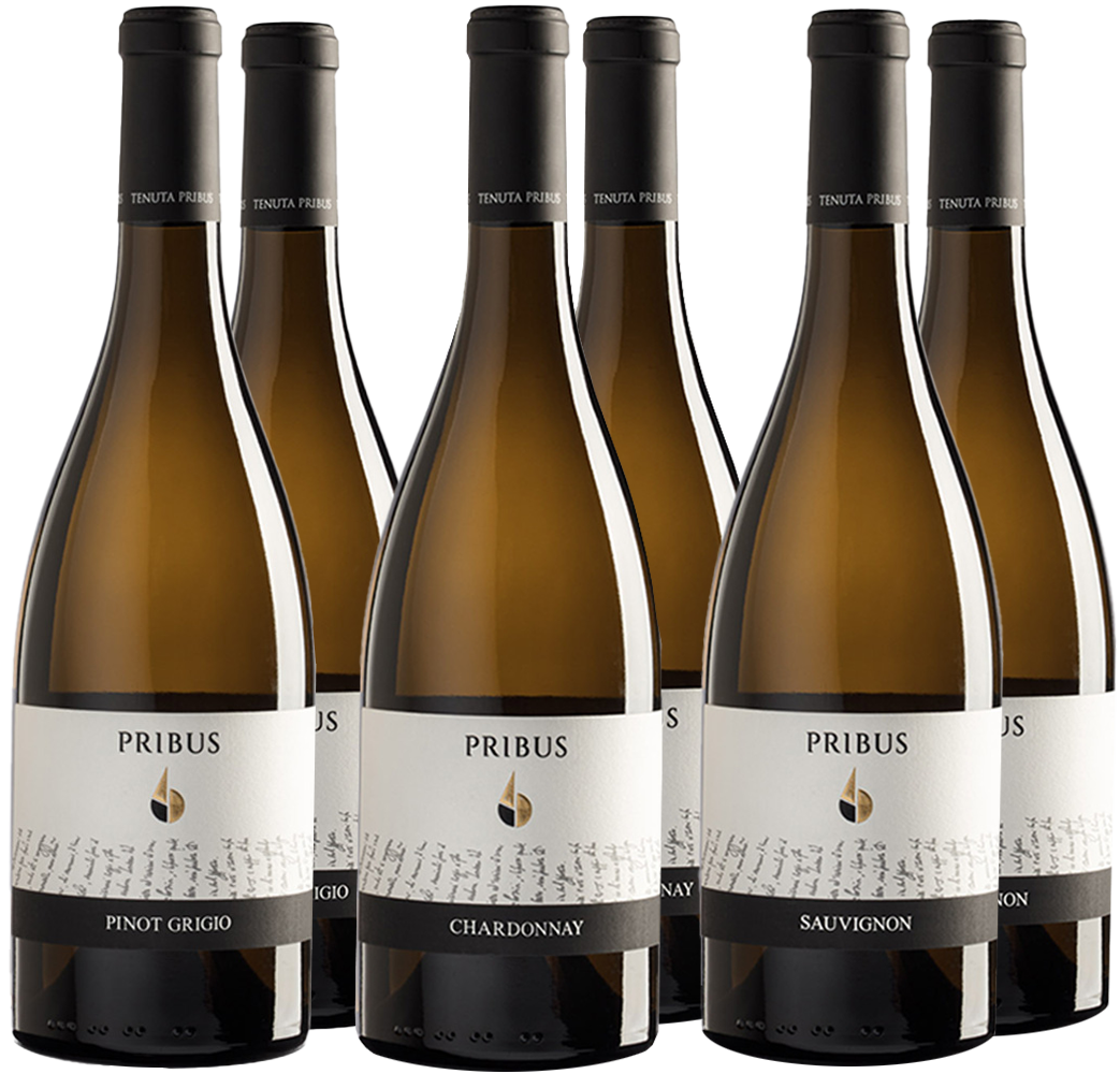 Pribus Kennenlern-Paket