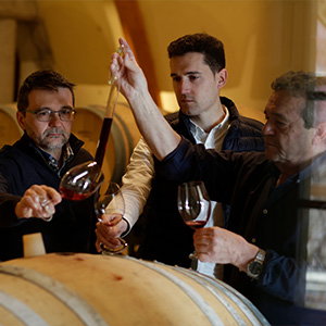 Bodegas San Valero