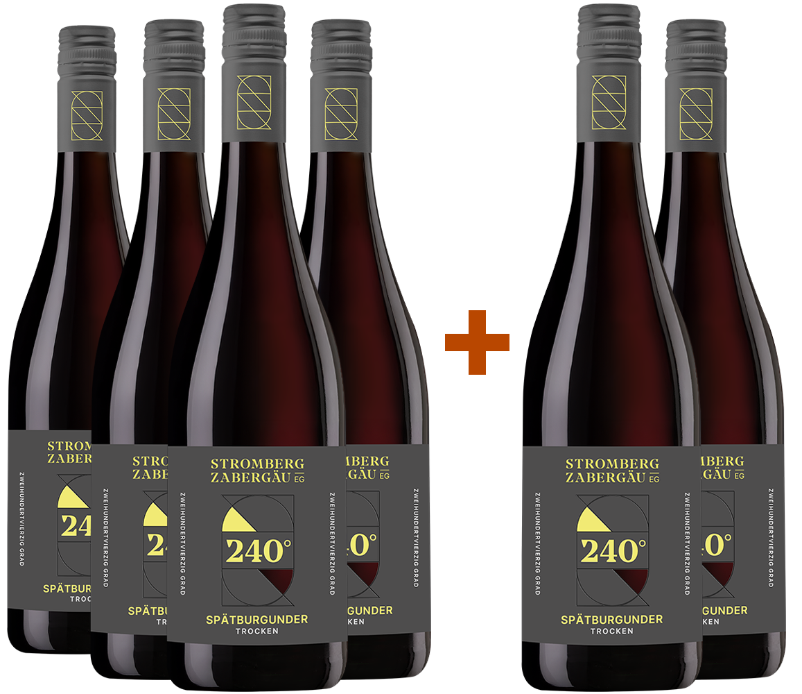 4+2 Paket 240° Entdeckung Spätburgunder