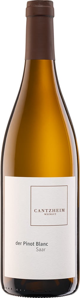 2022 Der Pinot Blanc reflection