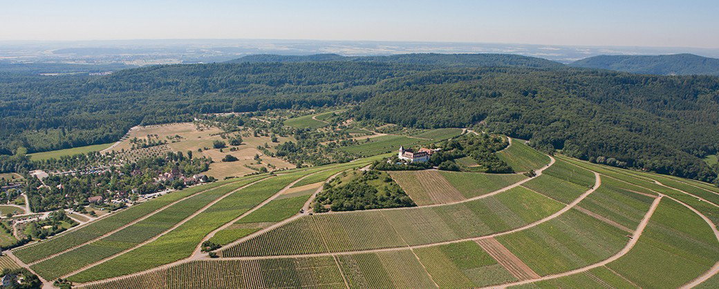 Privatkellerei Storz