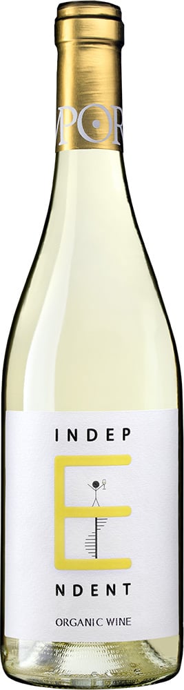 2024 Independent Blanco Bajo Aragón VT BIO reflection