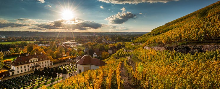 Sächsisches Staatsweingut Schloss Wackerbarth