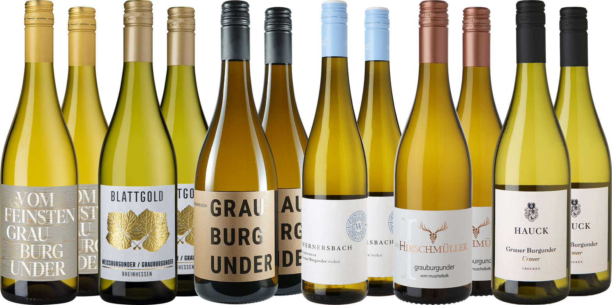 Großes Grauburgunder Entdecker-Paket