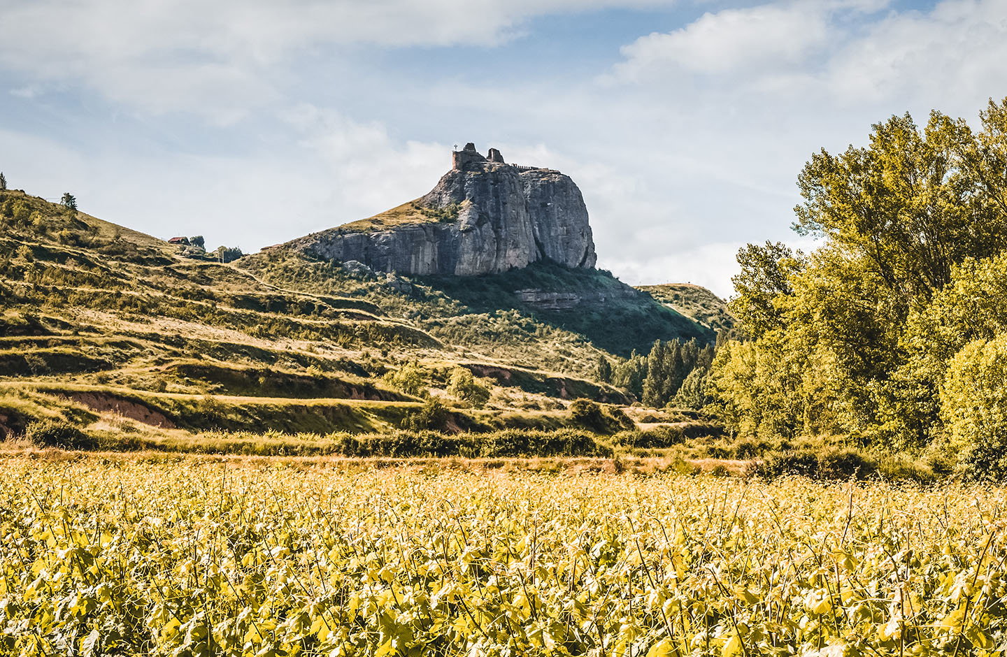 Bodegas Monje