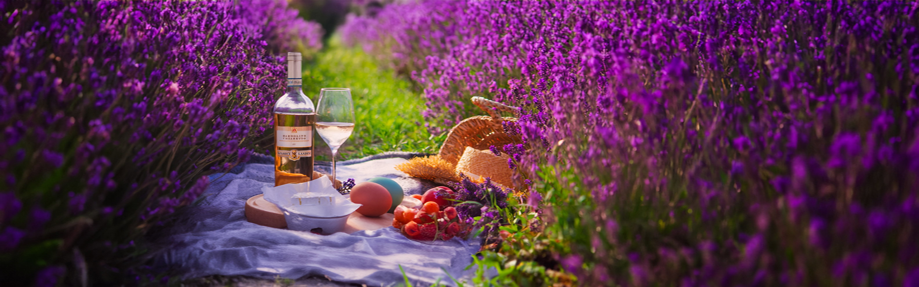 Sommerweine bei einem Picknick