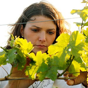 Weingut Weedenborn