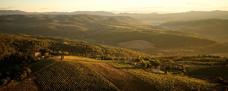 Castello di Selvole