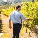 Bodegas Leda