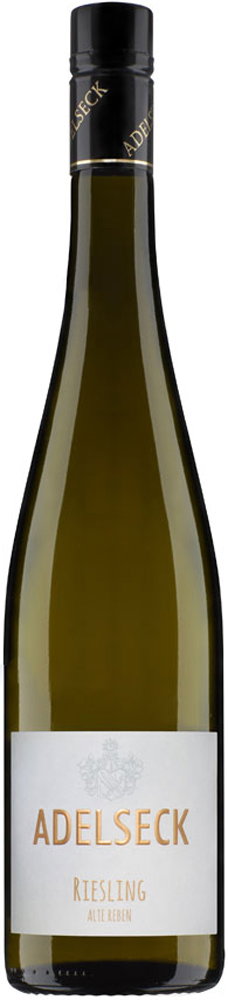 2025 Münsterer Pittersberg Riesling "Alte Reben"
