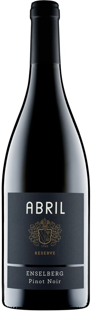 2022 ZEIT Pinot Noir "Steinbuck" BIO