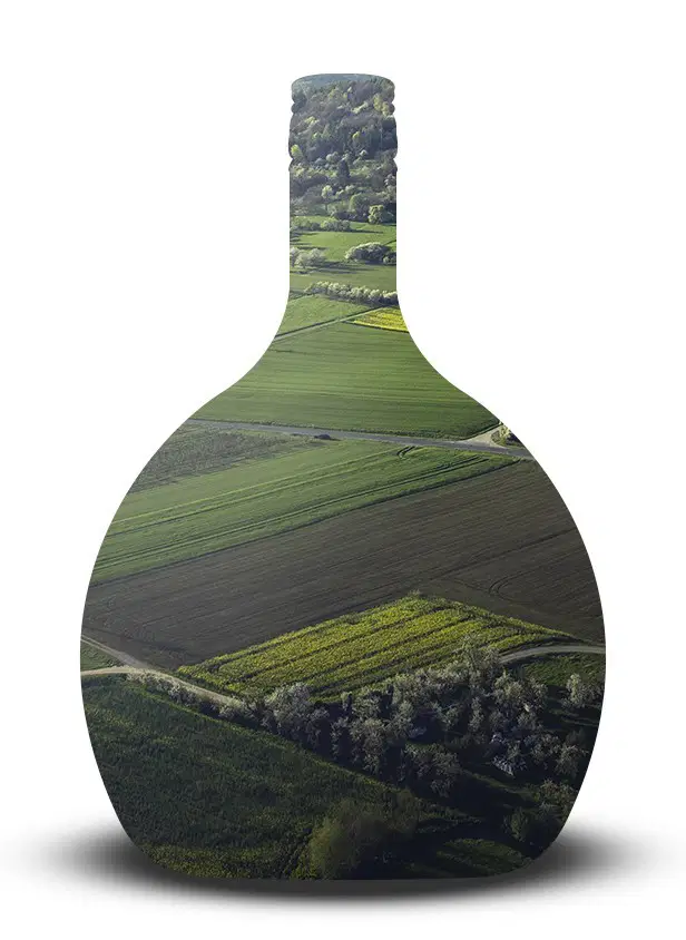 Bocksbeutelform mit Landschaft