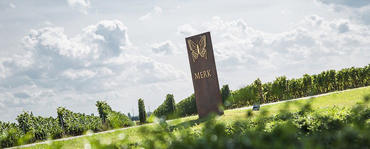 Merk