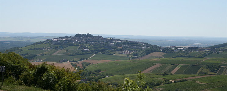 Domaine Michel Girard