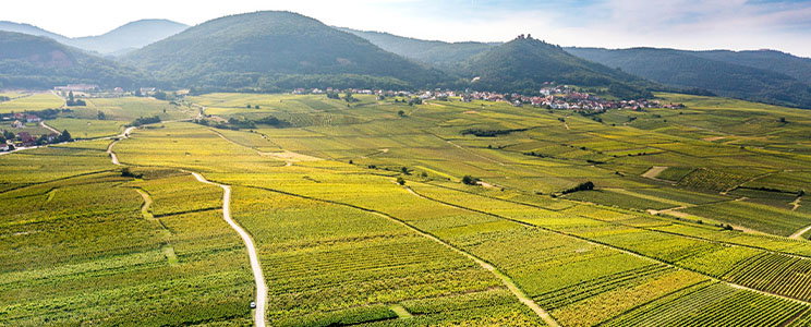 Domaine Heyberger-Meyer