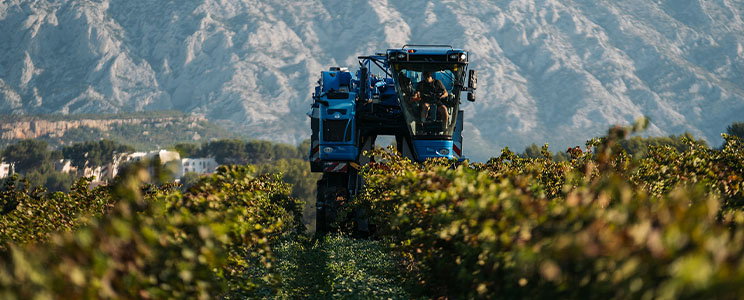 Domaine Terre de Mistral