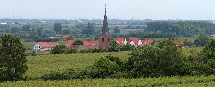 Forster Winzerverein