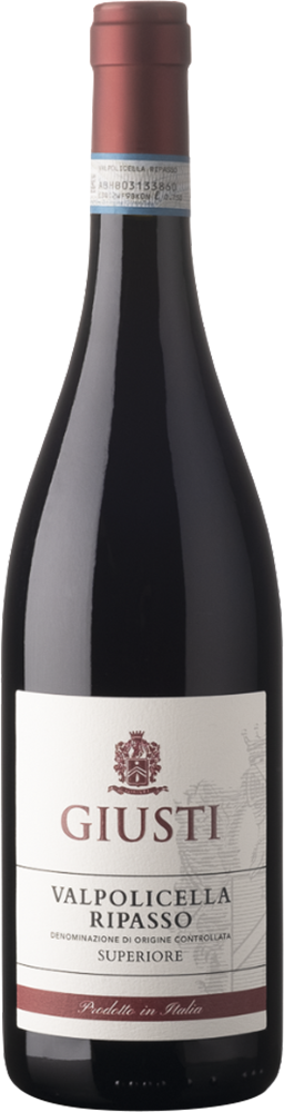 2019 Valpolicella Ripasso Superiore DOC reflection