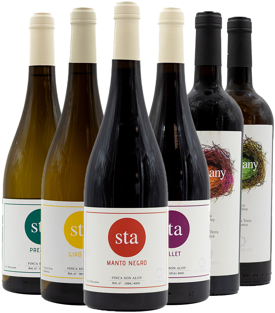 Kennenlernpaket Santa Catarina Mallorca VT
