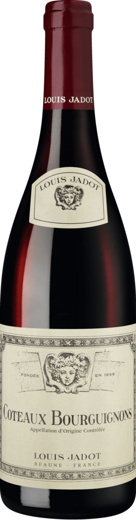 2024 Louis Jadot Coteaux Bourguignons Rouge
