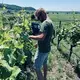 Kaiserstuhl Connection - by Landerer & friends