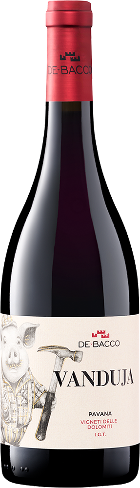 2023 Vanduja Pavana Vigneti delle Dolomiti IGP